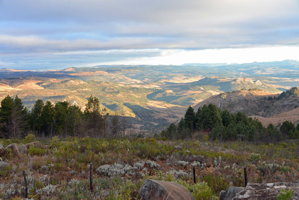 Nyanga rolling mountain landscape